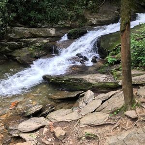 Meet your Posher, Poppy